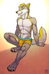  abs anthro canine clothing male mammal muscular muscular_male pecs solo tsaiwolf underwear wolf 