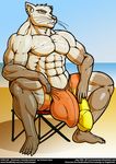  balls beach big_balls big_penis bulge ferret hyper male mammal mustelid penis seaside solo sweat victoriaviper 