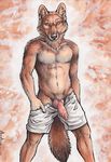  2015 abs abstract_background animal_genitalia anthro blue_eyes blue_sclera brown_fur canine canine_penis clothed clothing dhole erection front_view fur half-dressed knot looking_at_viewer male mammal pants pants_down penis pose presenting presenting_penis rukis shorts solo topless traditional_media_(artwork) undressing watercolor_(artwork) 