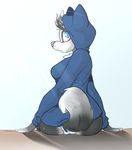  2015 anthro backsash blue_eyes blush bottomless butt canine clothed clothing dog female fur hair half-dressed hoodie husky looking_at_viewer mammal panties simple_background sitting solo underwear 