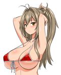  amagi_brilliant_park antenna_hair armpits bikini bikini_top breasts brown_eyes brown_hair bunching_hair covered_nipples front-tie_top frown hairdressing large_breasts long_hair looking_at_viewer micro_bikini ponytail sento_isuzu simple_background solo strap_gap swimsuit white_background zaxwu 