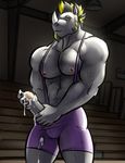  anthro bgn cum erection male mammal maurice_(character) muscular penis rhinoceros solo wrestling_singlet 