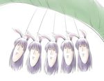  bug bunny_ears egg insect leaf long_hair multiple_persona nekoguruma no_humans pun purple_hair red_eyes reisen_udongein_inaba touhou udumbara what 