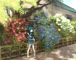  bad_id bad_pixiv_id bandaged_arm bandaged_leg bandages bangs blue_eyes blue_hair bucket building bush cobblestone fence flower from_behind full_body hair_over_one_eye hair_ribbon holding holding_bucket house hydrangea japanese_clothes looking_back male_focus outdoors pavement plant ponytail ribbon sandals sash sayo_samonji solo standing sunlight tobacco_(tabakokobata) touken_ranbu tree tree_shade 