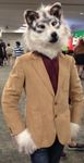  canine fursuit mammal solo tamaska wolf 