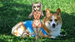  canine cat dog dr_comet feline mammal nude 