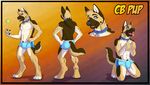  anthro bulge canine cbpup clothing collar dog fluke german_shepherd male mammal model_sheet shorts solo 