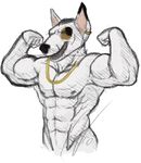 abs bull_terrier canine chain chain_necklace clothed clothing dog ear_piercing facial_scar flexing gold_chain gold_necklace half-dressed happy invalid_color invalid_tag jewelry knox male mammal muscular necrosquelch nude piercing presenting scar sketch smile solo topless waist_up watermark 