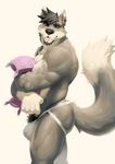  abs bulge butt canine clothing colored jockstrap looking_at_viewer male mammal muscular pecs pillow pockyrumz simple_background solo underwear white_background wolf 