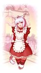  absurdres animal_ears apron cat_ears dress final_fantasy final_fantasy_xiv highres hy136 miqo'te solo tail thighhighs 