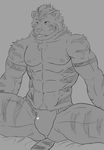  abs bulge clothing feline fundoshi male mammal monochrome muscular pecs simple_background solo tiger underwear xsrwe12 