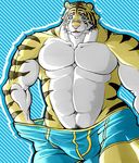  abs bulge clothing feline looking_at_viewer male mammal muscular pecs simple_background solo tiger torakiti1925 underwear 