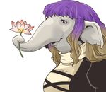  animalization blonde_hair elephant flower gradient_hair hijiri_byakuren long_hair multicolored_hair onikobe_rin purple_hair smile solo touhou what 