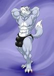  2015 abs anthro big_bulge bulge canine claws clothing hungothenomster male mammal muscular nintendo pecs solo star_fox toe_claws underwear video_games wolf wolf_o&#039;donnell 