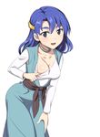  arm_support blue_eyes blue_hair breasts caryo cleavage collarbone downblouse dragon_quest dragon_quest_vi dress leaning_forward long_hair looking_at_viewer lowres medium_breasts nanashino open_mouth shirt_pull simple_background solo tania white_background 