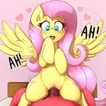  &lt;3 2015 bed blush clitoris cutie_mark duo equine faceless_male female feral fluttershy_(mlp) friendship_is_magic fur hair hi_res long_hair male male/female mammal my_little_pony on_bed open_mouth pegasus penetration pink_hair pussy sex thebatfang vaginal vaginal_penetration vein wings yellow_fur 