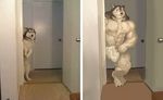  abs anthro biceps big_muscles black_fur blush canine chest_tuft detailed_background dog door embarrassed feral fur humor inside looking_at_viewer mammal muscular pecs photo photo_background real standing towel tuft white_fur 