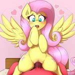  &lt;3 2015 bed blush clitoris cutie_mark duo equine faceless_male female feral fluttershy_(mlp) friendship_is_magic fur hair hi_res long_hair male male/female mammal my_little_pony on_bed open_mouth pegasus penetration pink_hair pussy sex thebatfang vaginal vaginal_penetration vein wings yellow_fur 