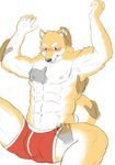  abs blush bulge canine clothing dog grope male male/male mammal muscular pecs shiba_inu simple_background underwear white_background xsrwe12 
