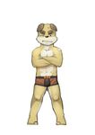  anthro bandage brown_eyes brown_fur canine clothed clothing dog front_view fur half-dressed husky_(artist) looking_at_viewer male mammal multicolored_fur simple_background solo tan_fur topless two_tone_fur white_background white_fur white_sclera young 