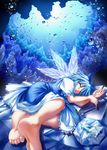  blue_hair cirno fish frog frozen ice nature ribbon sleeping solo touhou underwater wings 