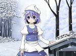  blue_eyes blue_hair bluepony hat letty_whiterock short_hair snow solo touhou tree 