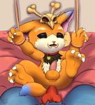  age_play anal anal_penetration anus balls bdsm bondage bound butt cub fur gnar_(lol) just_the_tip knot league_of_legends looking_at_viewer lying male male/male myartsucks nintendo on_back open_mouth orange_fur orgasm paws penetration penis pok&eacute;mon riolu sex size_difference solo_focus video_games yordle young 