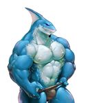  abs anthro biceps big_muscles bulge clothed clothing fish half-dressed huge_muscles kokuhane male marine muscular nipples pecs pockyrumz shark simple_background thong topless white_background 