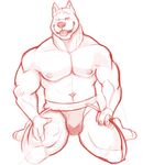  blush bulge canine clothing dog horrorbuns jockstrap looking_at_viewer male mammal muscular pecs simple_background solo underwear white_background 