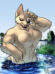  abs biceps big_muscles breasts canine dog featureless_breasts female fur mammal muscular muscular_female one_eye_closed partially_submerged rick_griffin solo water wet wink 