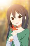  :d autumn_leaves black_hair blush brown_eyes collarbone holding holding_leaf k-on! kisuke_(akutamu) leaf long_hair long_sleeves looking_at_viewer nakano_azusa open_mouth shiny shiny_hair smile solo twintails 