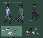  2012 anthro barefoot black_fur black_hair clothed clothing dog_tags english_text eyewear fur glasses green_background grey_fur hair half-dressed looking_at_viewer male mammal model_sheet necklace pants pawpads paws raccoon shirt simple_background solo stripes text topless touchofsnow underwear white_fur zipihid 