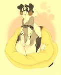  almonds_(artist) anthro black_fur bottomless brown_eyes brown_fur canine chest_tuft clothed clothing cute dog english_text female flat_chested fur half-dressed mammal multicolored_fur shirt smile solo text tuft white_fur 