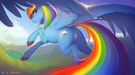  2015 antiander anus avian bird blue_feathers blue_fur butt cloud cutie_mark equine feathered_wings feathers female feral flying friendship_is_magic fur hair hi_res hooves looking_at_viewer mammal multicolored_hair my_little_pony outside pegasus pussy rainbow_dash_(mlp) rainbow_hair smile solo wings 