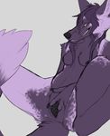  breasts canine fatalixthefox female fur grin homunculus looking_at_viewer mammal mauta_(fatalixthefox) nipples purple_fur pussy solo spreading zannathedragon 