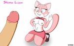  anthro biting_lip breasts cat clothed clothing disembodied_penis duo feline female fur hi_res human kneeling male male/female mammal multicolored_fur navel penis pink_fur raised_shirt shima_luan simple_background smile solo_focus two_tone_fur tylertmk white_background white_fur 