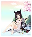  :d animal_ears bad_id bad_pixiv_id barefoot black_hair blue_eyes bracelet cat_ears cherry_blossoms feet flower hand_on_own_knee jewelry legs long_hair nyanya open_mouth original petals sitting smile solo stone_lantern tail very_long_hair 