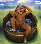  3_toes anthro balls bath bear blush brown_eyes brown_fur cobalthusky cub disney fur half-erect hand_behind_head hat kit_cloudkicker looking_at_viewer male mammal navel nude outside penis pubes soap solo talespin toes uncut water young 