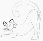  2015 animal_genitalia anus barbs butt cat erection feline feline_penis feral fur looking_back male mammal monochrome nintendo pencil_(artwork) penis persian pok&eacute;mon presenting raised_tail simple_background smile solo tongue tongue_out traditional_media_(artwork) video_games white_background yaroul 