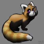  acru_jovian alpha_channel ambiguous_gender digital_media_(artwork) fur grey_background mammal phone red_panda simple_background sitting suspicious 