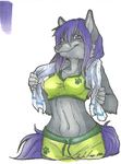  2012 anthro bra canine cat clothed clothing english_text feline female fox fur grey_fur hair hybrid long_hair mammal navel pawprint purple_eyes purple_hair shorts simple_background smile solo text touchofsnow towel underwear white_background 