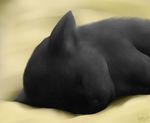  acru_jovian ambiguous_gender black_fur blanket cat digital_media_(artwork) eyes_closed feline feral fur mammal portrait realistic sleeping solo 