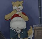  anthro box bulge canine chubby clothing dog donguri green_eyes male mammal navel one-eye_closed open_mouth shirt shirt_lift solo standing tongue tongue_out trash_bag underwear undressing 