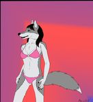  alex anthro bra canine clothing female mammal mearcu panties solo underwear wolf 
