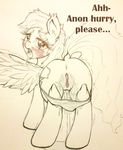  anon blush creamlemon dialogue equine friendship_is_magic horse in_heat mammal my_little_pony pegasus pony pussy rainbow_dash_(mlp) solo text wings 