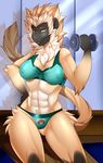  2015 anthro breasts clothed clothing female fur gibbon hair looking_at_viewer mammal muscular muscular_female myloveless nipples primate smile solo standing underwear 