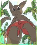  anthro balls black_eyes bulge cat fangs feline kukat looking_at_viewer male mammal palm_trees solo swim_shorts voyeur 