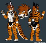  clothing dragon enthusiasticpup feline leo mammal sabertooth_(disambiguation) speedo sweeneyblake swimsuit tiger underwear 