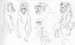  2012 anthro ape baboon fur hair kittiara mammal monkey multiple_images muzzle_(object) muzzled nude prehensile_feet primate simple_background sketch solo white_background 