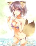  animal_ears bikini fox_(trickster) fox_ears fox_tail glasses mofmof_(sousa) multiple_tails navel side-tie_bikini solo swimsuit tail trickster water 